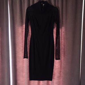 Sally Lapointe Sheer Turtle Neck Knee Length Dress